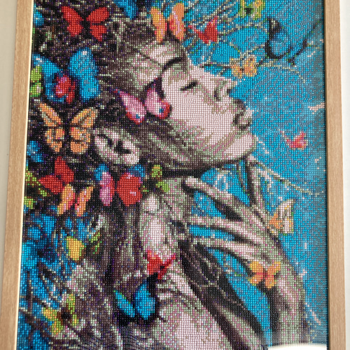 ダイヤモンド ビーズ アート 木蝶麗女 完成品 額付き 絵画 jojo