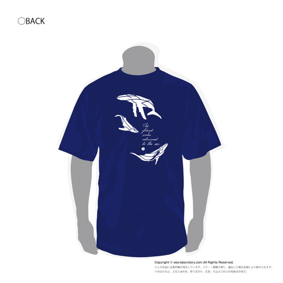 2022夏！Tシャツ【ザトウクジラ】パターン（レディース） 3枚目の画像