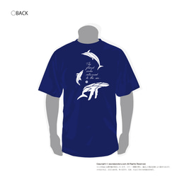 2022夏！Tシャツ【ザトウクジラ＆イルカ】パターン（レディース） 3枚目の画像