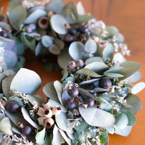 ユーカリグリーンリース　銀世界　35cm フレッシュ ユーカリ 銀世界 リース | PLANTS SHOP OLIVE