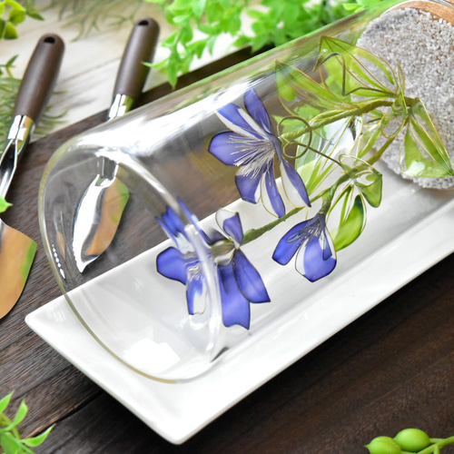 植物標本 XXL】クレマチス Clematis 青 ハーバリウム・植物標本 風碧