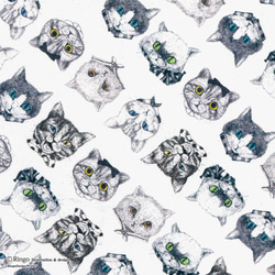新商品！『Ringo fabric シーチング 生地 ワンダフルネコズ 【2022新作】ホワイト』～50㎝でカット済み～ 8枚目の画像