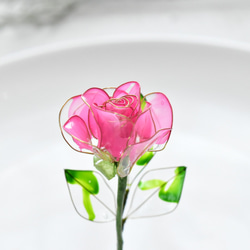 【植物標本 S】薔薇(ばら) -Deep pink- 5枚目の画像
