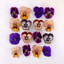 Viola 刺繡耳環 古紫色 第6張的照片