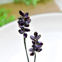 【植物標本 S】トゥルーラベンダー true lavender 10枚目の画像