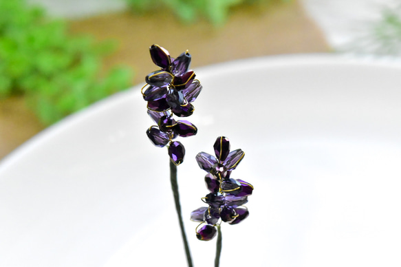 【植物標本 S】トゥルーラベンダー true lavender 10枚目の画像