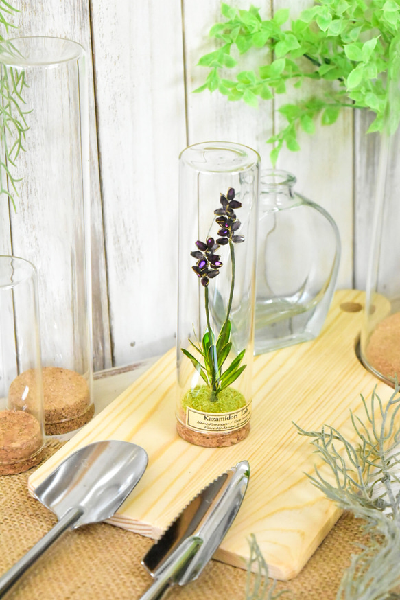 【植物標本 S】トゥルーラベンダー true lavender 11枚目の画像