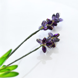 【植物標本 S】トゥルーラベンダー true lavender 12枚目の画像
