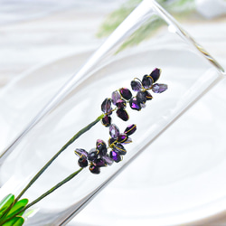 【植物標本 S】トゥルーラベンダー true lavender 1枚目の画像