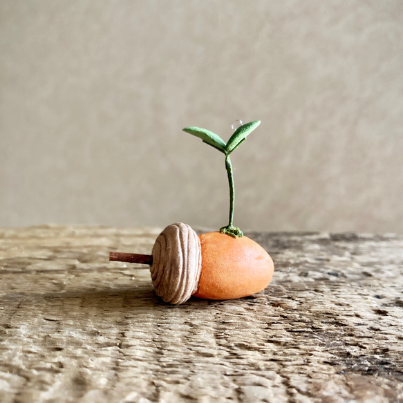 7347.bud 粘土のどんぐり その他インテリア雑貨 bud 通販 14004707