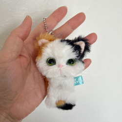 つままれ猫ちゃん（三毛猫） ぬいぐるみ ART&CULTUR 通販 14004819