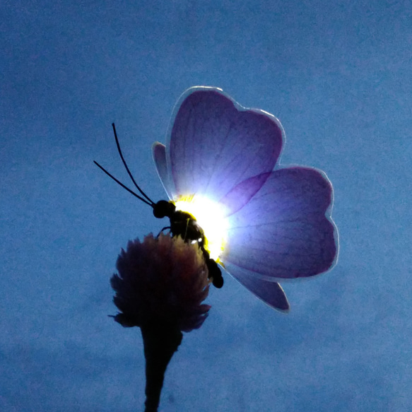 月見蝶のオブジェランプ 5枚目の画像