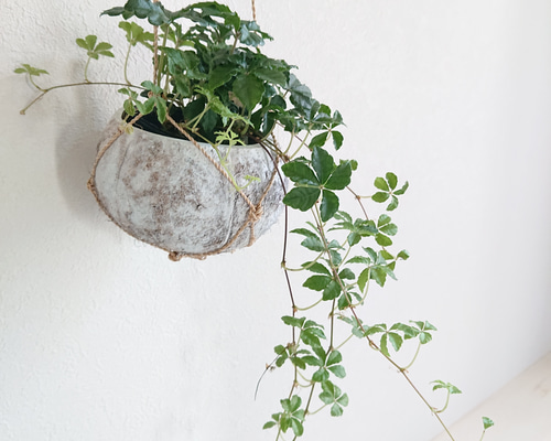 da3de36f74ffad226a9f87678da7cb