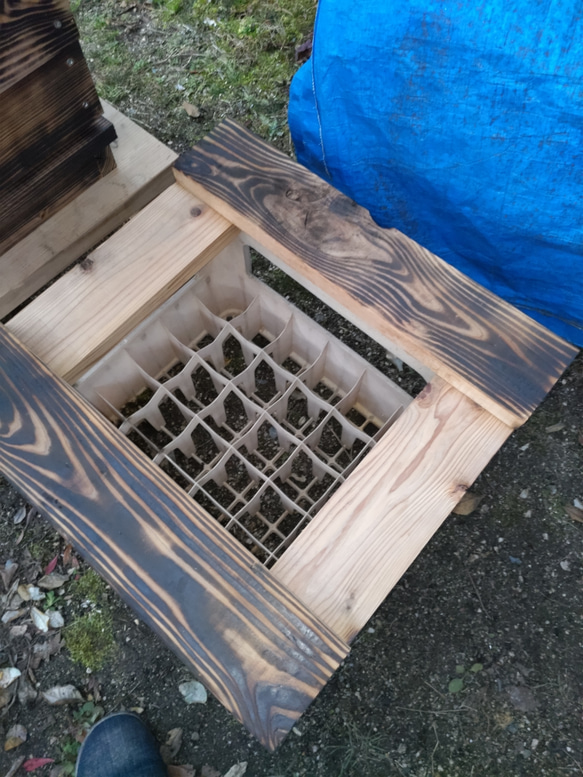 日本蜜蜂  重箱式巣箱一式　重箱杉板厚3.6㎝　セット品 12枚目の画像