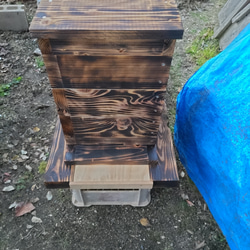 日本蜜蜂  重箱式巣箱一式　重箱杉板厚3.6㎝　セット品 2枚目の画像