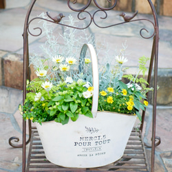 af7edc3deb3f8d3e2dd09a2f80bf4e