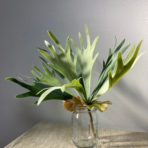 アートグリーンbyとんぼページ アートグリーンbyとんぼの販売中作品一覧 | ハンドメイド通販・販売の