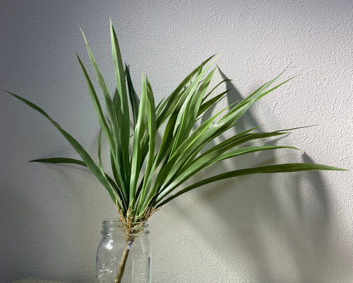 9caa98d384d2ffc2c0f80859393c29