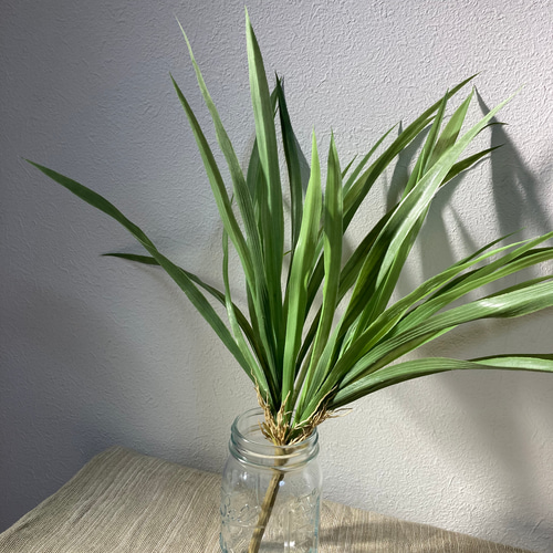 アートグリーンbyとんぼページ アートグリーンbyとんぼのギャラリー｜ハンドメイド・手仕事品の販売