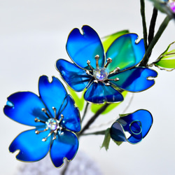 【植物標本 S】さくら Cherry Blossoms 紺青色 11枚目の画像
