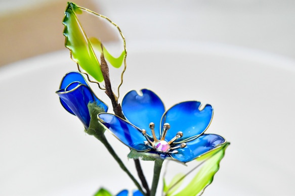 【植物標本 S】さくら Cherry Blossoms 紺青色 9枚目の画像