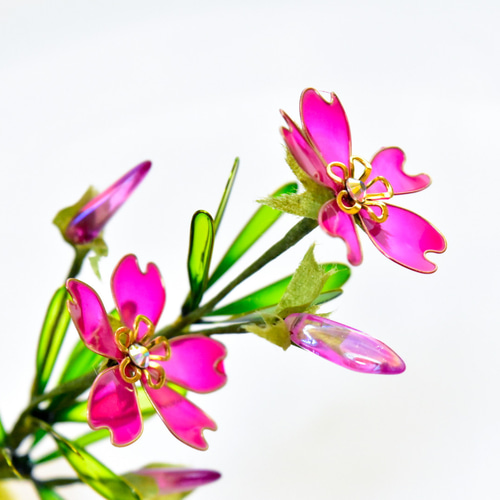 ◆ハーバリウム　専用ページꕤ︎︎·͜· □受注制作【植物標本 S】シバザクラ moss phlox ピンク ハー