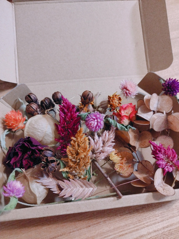 【ナチュラル花材アソート】ドライフラワー花材　7種類以上　箱いっぱいに詰めてお届け❀ 5枚目の画像