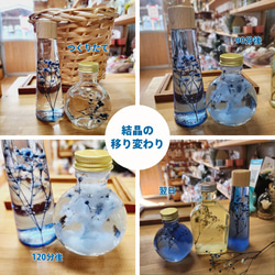 【キット＋100ml丸柱瓶】ストームグラスを作りましょう＊できあがり量：約100ml＊インテリアストームグラス 4枚目の画像