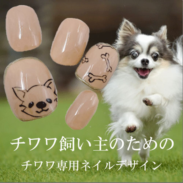 チワワ ベリーショートネイルチップ 愛犬 チワワグッズ ペット 動物 アート ジェル アクセサリー パピー ミニチュア 3枚目の画像