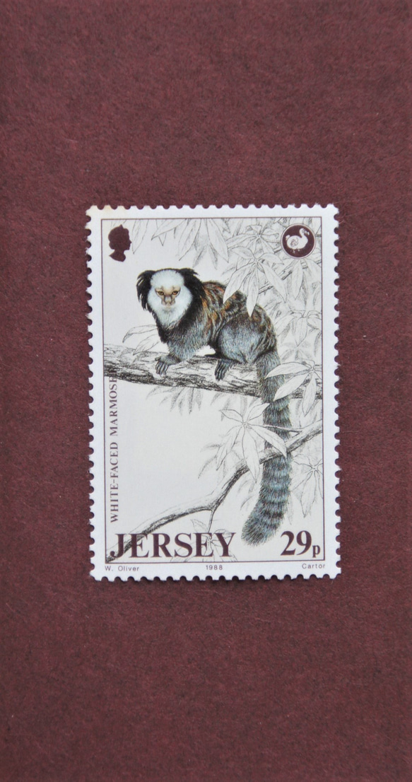 マーモセットの切手【イギリス】(未使用）WHITE  FACED  MARMOSET  (霊長目・サル科・哺乳類) 1枚目の画像