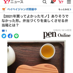 木のお弁当箱P くりぬき 累計330個 PenOnline掲載 千葉の杉 木製 ZUKOUSHITU 秋 9枚目の画像