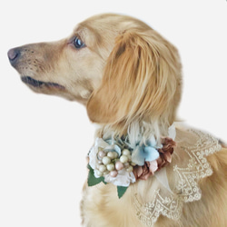 アンティークレース チョーカー ネックドレス 小型犬 ペット アクセサリー ウエディング 白 お祝い おしゃれ 飾り 1枚目の画像