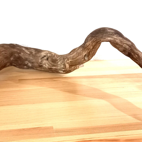 伝説の龍の横顔に似た流木オブジェ 立体・オブジェ ohana-kiki