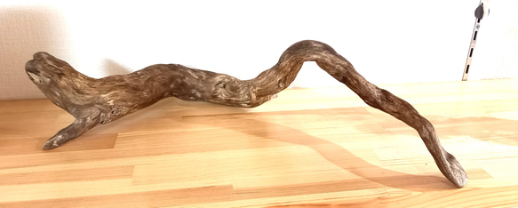 伝説の龍の横顔に似た流木オブジェ 2枚目の画像