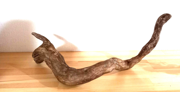 伝説の龍の横顔に似た流木オブジェ 立体・オブジェ ohana-kiki 通販