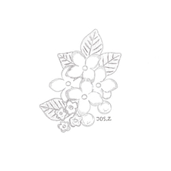  第2張的照片