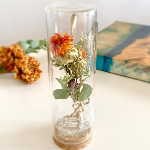 紅花のボトルフラワー / 花言葉入り 特別な人 / オレンジ ドライ