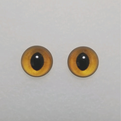 W6　猫の瞳　１２㎜　グラスアイ　羊毛フェルト用 1枚目の画像
