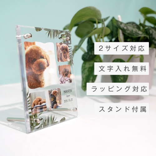 Amazon.co.jp: 時計 写真入りグッズ オリジナルグッズ