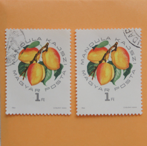 アプリコット(あんず)の切手２枚【ハンガリー】（使用済） 1枚目の画像