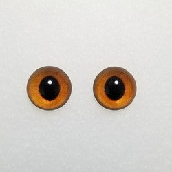 W29　猫の瞳　１２㎜　グラスアイ　羊毛フェルト用 1枚目の画像