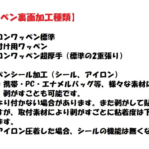 オーダー/おなまえ刺繍ワッペンかなカナ用/長方形6cm×1cm/文字フチ同色