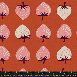 USA綿麻(110×50) RSS Strawberry & Friends いちご カイエン 4枚目の画像
