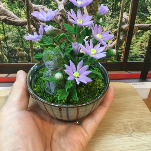 ミニチュア盆栽〈大原菊〉 盆栽 AB-Hachi Garden 通販 14010877