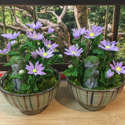 大型盆栽大　花台　貝模様 月刊「近代盆栽」2018年8月号 | 盆栽、盆栽書籍、盆栽鉢の通販│近代出版