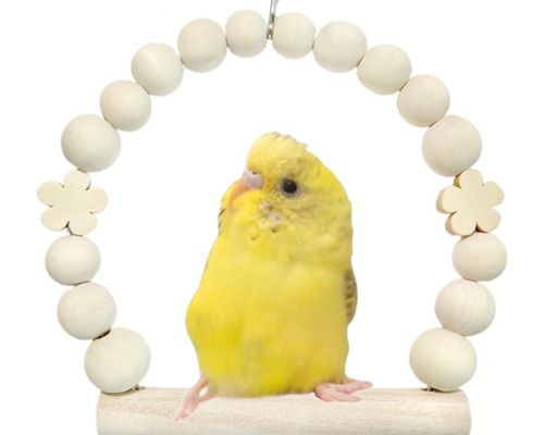 インコ{スタンドコミドリ&ヒインコ用}ちーたんさん専用81号基‼️ 三晃商会 SANKO 小鳥のT型ローパーチ 小さなスタンド ミニ