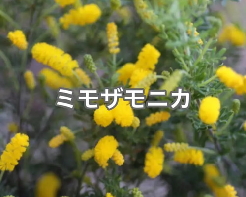 a044c063faad3c721b921ded0adfba
