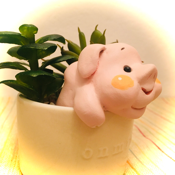 多肉動植物シリーズ/pig 3枚目の画像