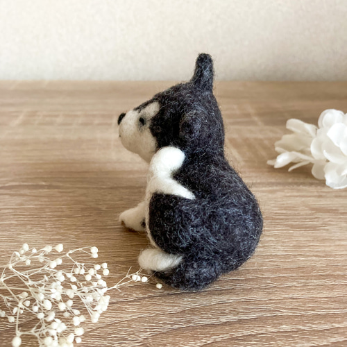 羊毛フェルト まんぷくハスキー犬／置き物 マスコット 羊毛フェルト