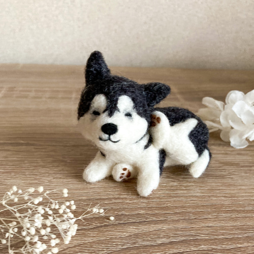羊毛フェルト まんぷくハスキー犬／置き物 マスコット 羊毛フェルト